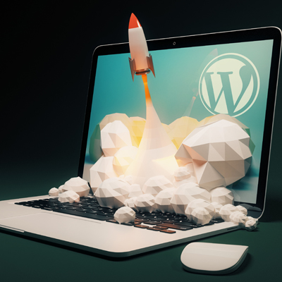 WordPress services