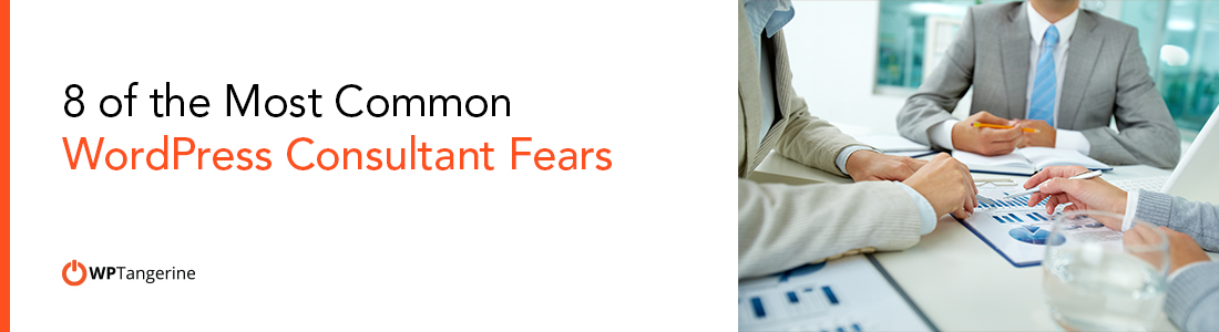 8 of the Most Common WordPress Consultant Fears