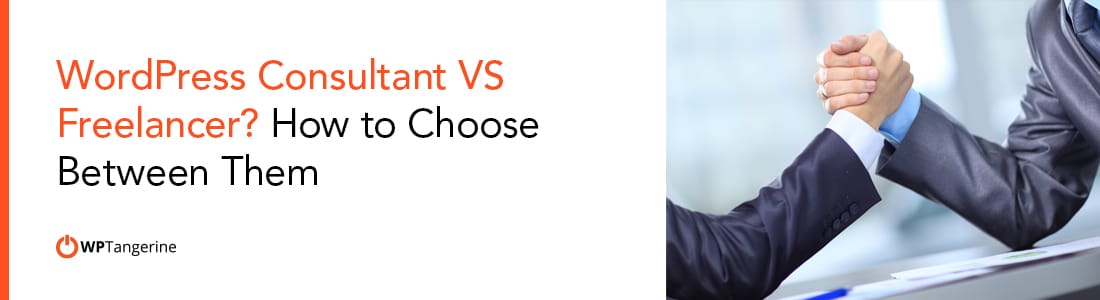 WordPress Consultant VS Freelancer How to Choose Between Them Banner