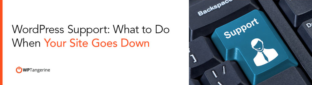 WordPress Support What to Do When Your Site Goes Down