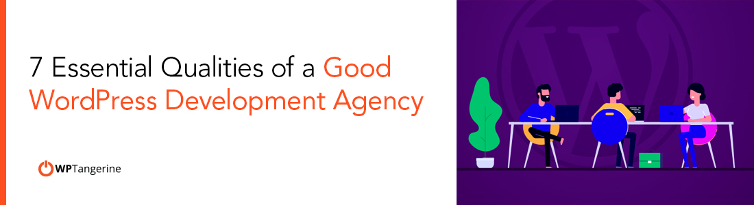7 Essential Qualities of a Good WordPress Development Agency ...