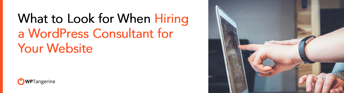 What to Look for When Hiring a WordPress Consultant for Your Website