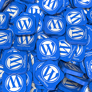 Unleashing the Power of WordPress SSD Web Hosting banner 3