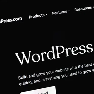 What Is WordPress Automation And How To Implement It (2)